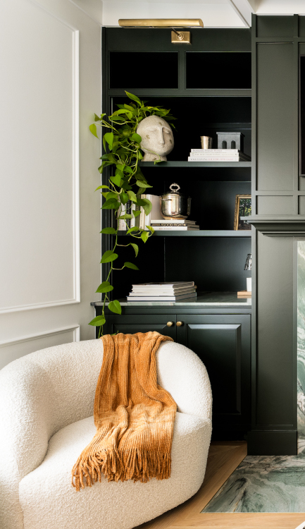 Living Shelf Style Ideas